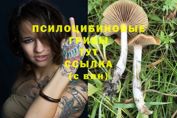 кокаин перу Тавда