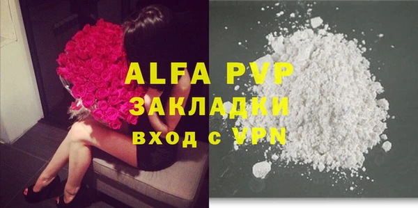 2c-b Тайга