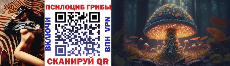 Галлюциногенные грибы прущие грибы  купить наркотики сайты  Буинск 
